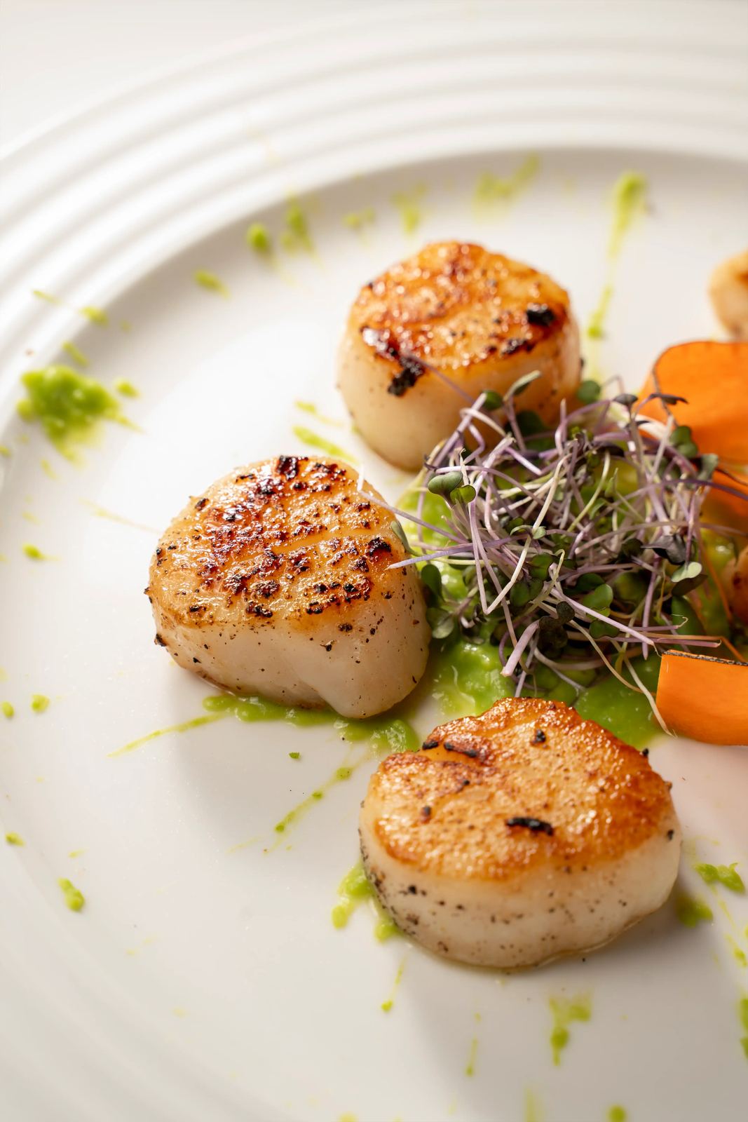 Seared scallops with microgreens on a white plate
