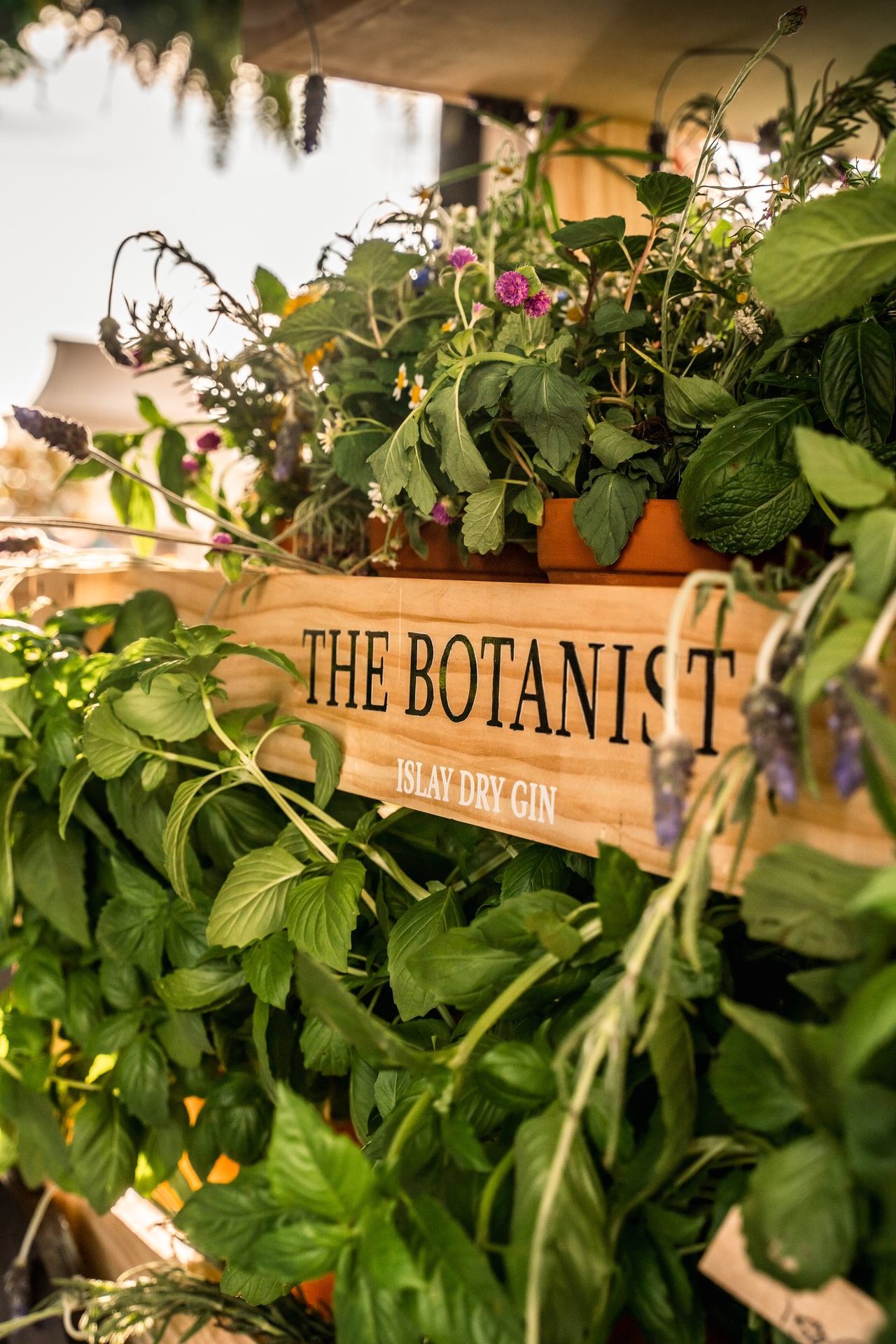 The Botanist gin planter full of fresh herbs