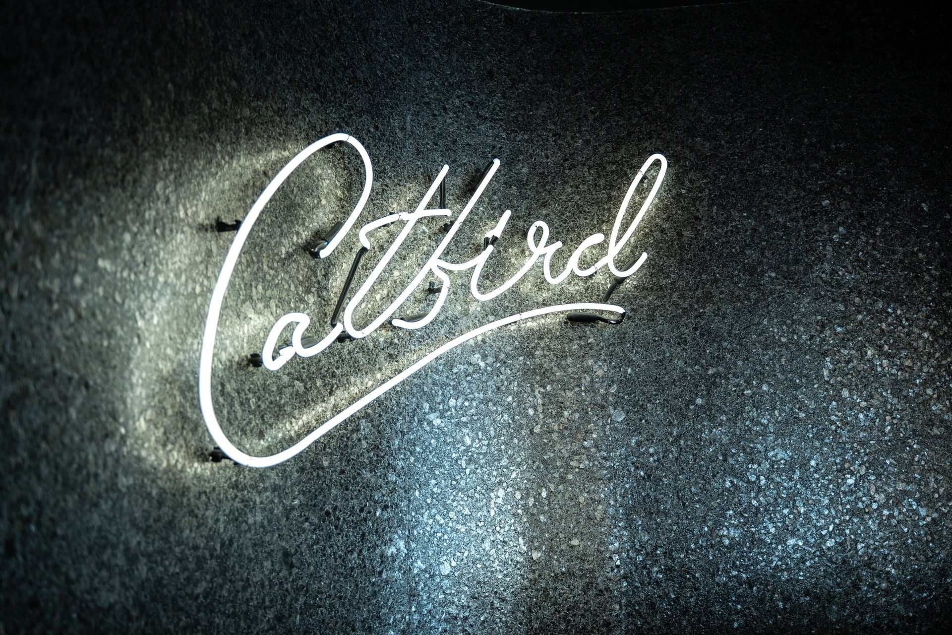 Catbird neon script sign