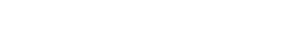 Schumacher Electric